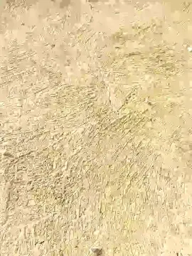 Cam4 Free Porn Cam of Overday212