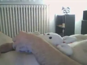 Cam4 Live Porn of triPPytriCKy