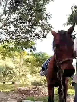 Cam4 Adult Webcam of Remote_live