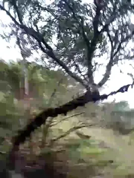 Cam4 Live Porn of Remote_live