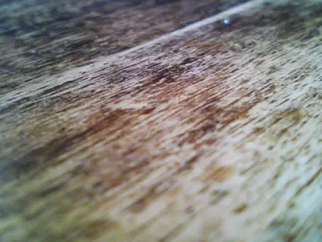 Cam4 Free Live Porn of jan63_fun