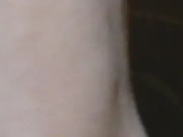 Cam4 Nude Webcam of samuari70