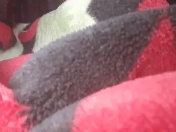 Cam4 Adult Video Chat of Sixpiar