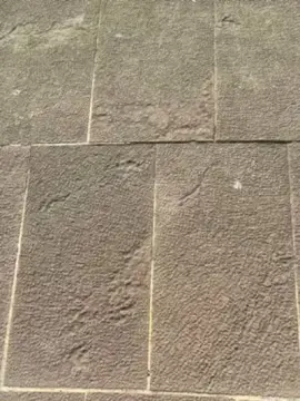 Cam4 Live Sex Cam of santimunez99