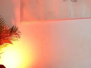 Cam4 Free Porn Cam of AileenKiss