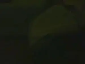 Cam4 Adult Webcam of Hotbanana62