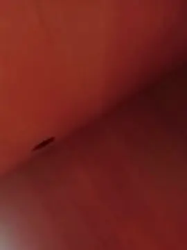 Cam4 Live Sex of Pasivomexicano