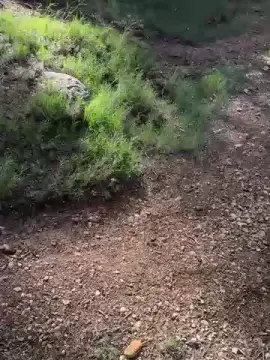 Cam4 Sex Cam of siquesique