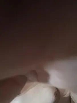 Cam4 Sex Chat of srav5