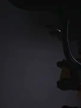 Cam4 Adult Video Chat of srav5