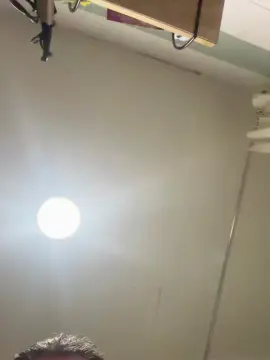 Cam4 Adult Webcam of Pollon29_cm