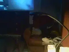 Cam4 Free Porn Cam of rio_babel