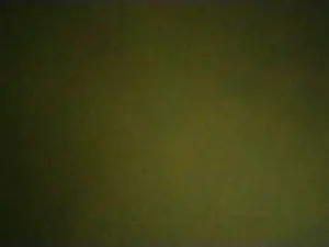 Cam4 Watch Live Sex Cams of DerWilde89