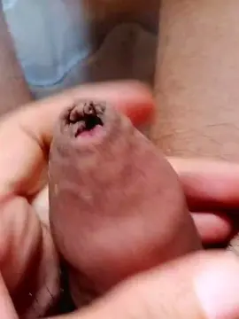 Cam4 Adult Video Chat of rodovlaz