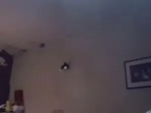 Cam4 Adult Webcams of JohnnyDoe2025