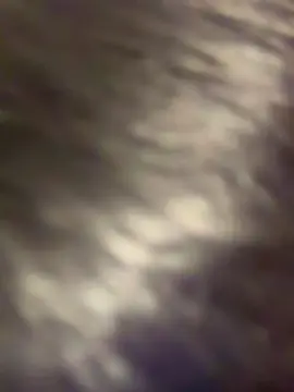 Cam4 Adult Video Chat of JohnnyDoe2025