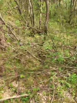 Cam4 Best live sex cam show of Bart_6