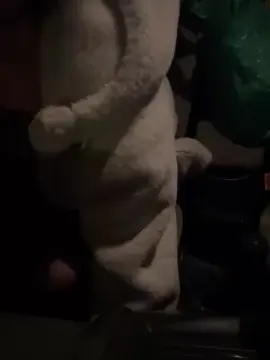 Cam4 Best Webcam of Johanyenma