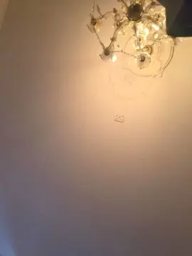 Cam4 Adult Webcam of hamannkarsten09