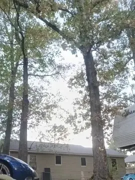 Cam4 Live Porn of Littleguy25