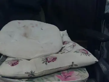 Cam4 Adult Webcam of Bangard29