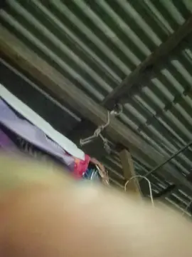 Cam4 Free Live Porn of capetinha1821