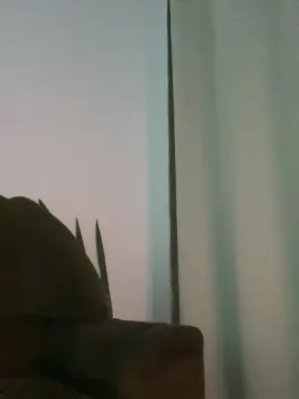 Cam4 Free Porn Cam of Felipecavalao