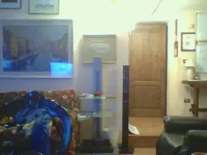 Cam4 Watch Live Sex Cams of dandy3