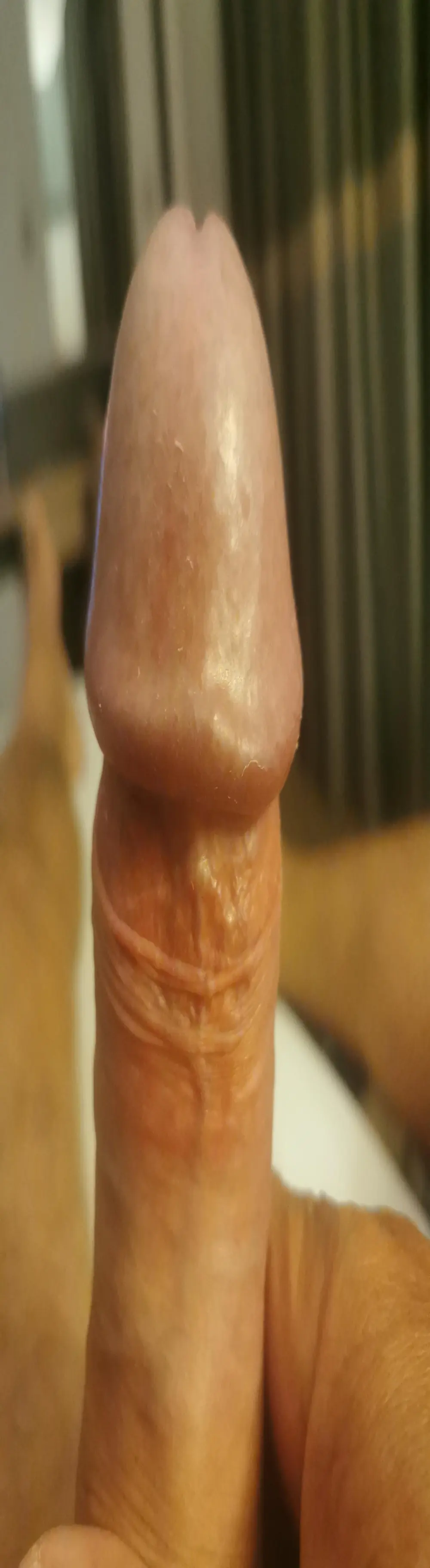 ficke_hot