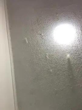 Cam4 Nude Webcam of tulon_18hot