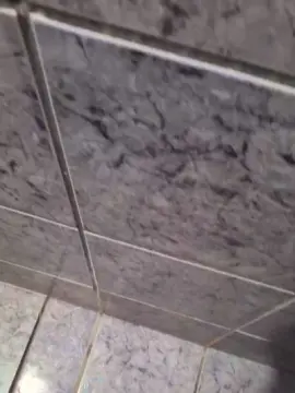 Cam4 Adult Webcam of solteiro72