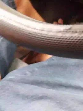 Cam4 Free Porn Cam of Daddy_capixaba