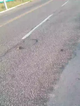 Cam4 Sex Cam of Daddy_capixaba