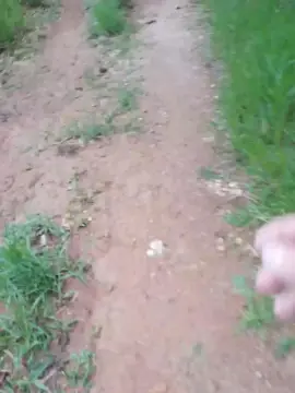 Cam4 Sex Cam of Daddy_capixaba