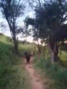 Cam4 Live Sex of Daddy_capixaba