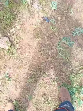 Cam4 Watch Live Sex Cams of osopajas2