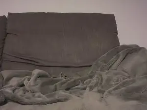 Cam4 Best Webcam of RogueVex