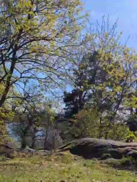 Cam4 Nude Webcam of fuje