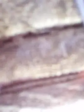 Cam4 Live Porn of kusakaya