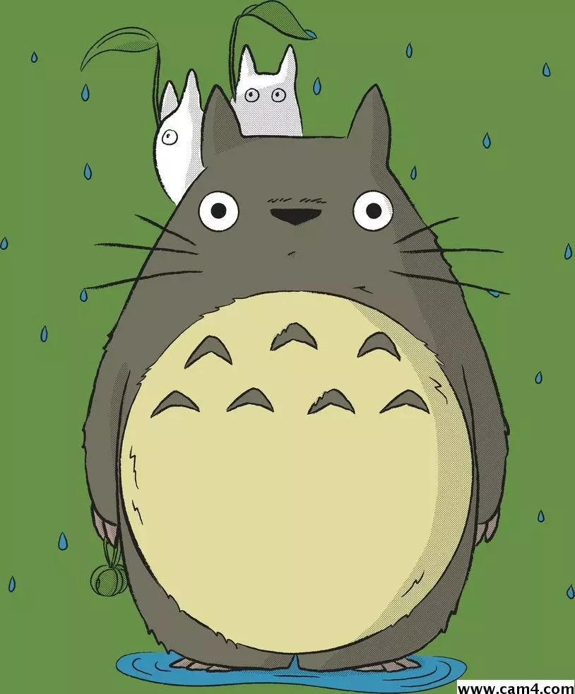 totoro81