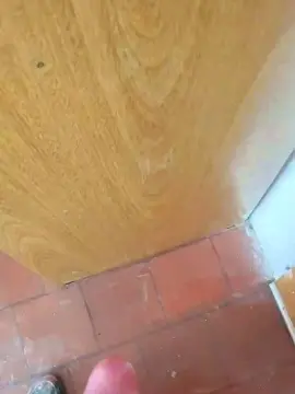 Cam4 Live Sex of Labestia29