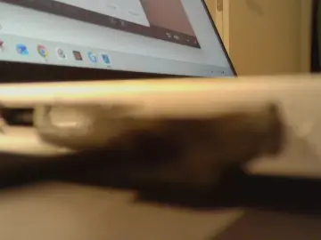 Cam4 Adult Video Chat of paul5959