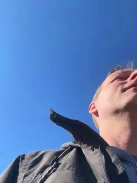 Cam4 Sex Cam of KeporBlue