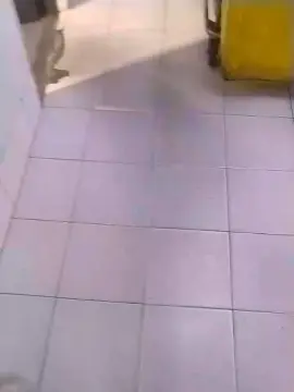 Cam4 Adult Webcam of jumm42