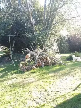 Cam4 Sex Cam of Suisavous