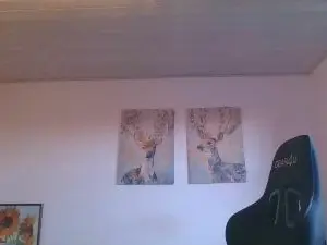 Cam4 Free Live Porn of gottalop1