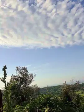 Cam4 Sex Chat of uncutcockitaly