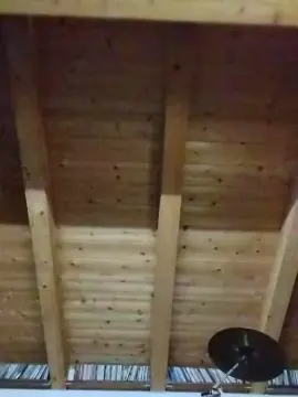 Cam4 Sex Cam of shaggyvery