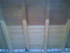 Cam4 Adult Webcams of shaggyvery