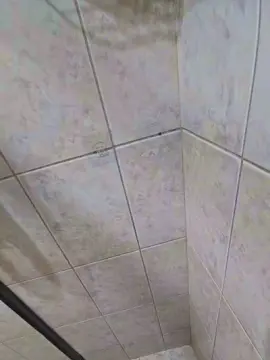 Cam4 Adult Video Chat of Feldm